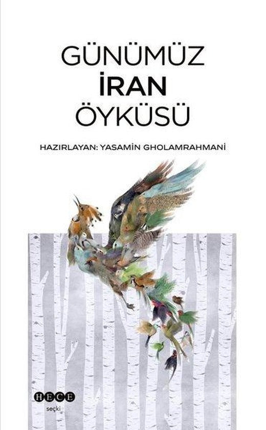 Günümüz İran Öyküsü | Hece Yayınları (İnce Kapak)
