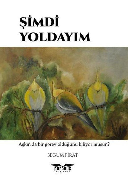 Şimdi Yoldayım | Perseus Yayınevi (İnce Kapak)