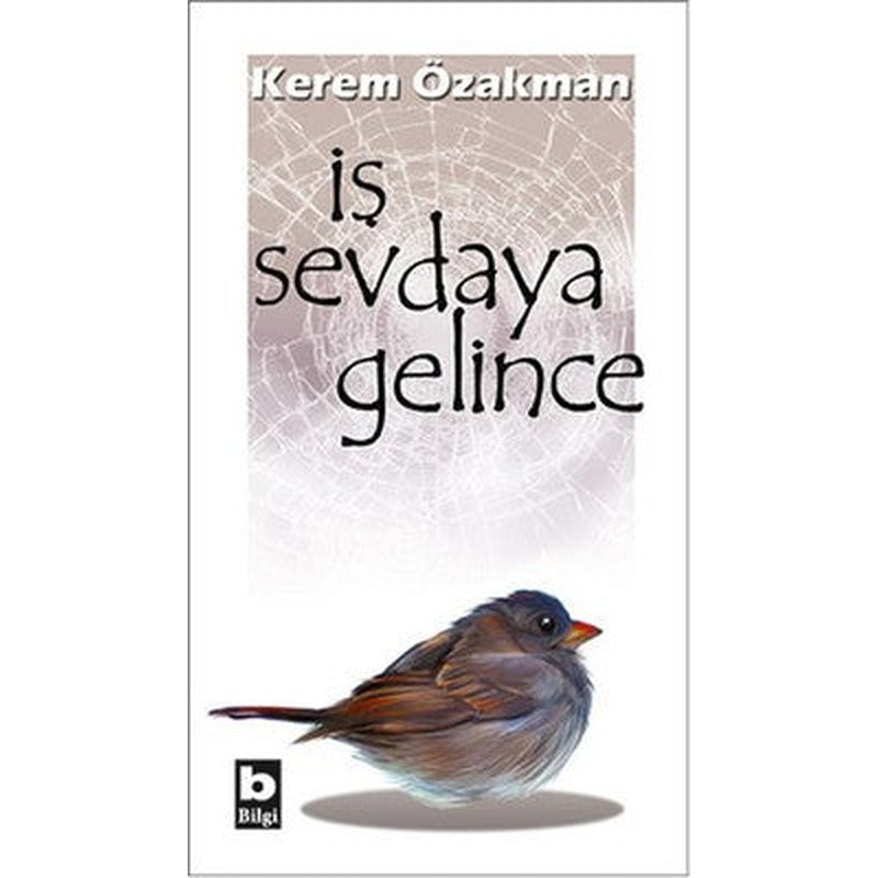 İş Sevdaya Gelince | Bilgi Yayınevi