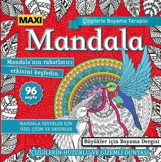 Maxi Mandala Çizgilerle Boyama Terapisi 12 | Maxi Yayıncılık (Ciltsiz)