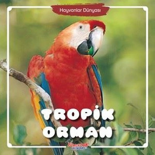 Hayvanlar Dünyası - Tropik Orman | Yumurcak Yayınları