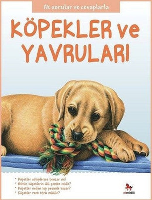Köpekler ve Yavruları-İlk Sorular ve Cevaplarla | Almidilli