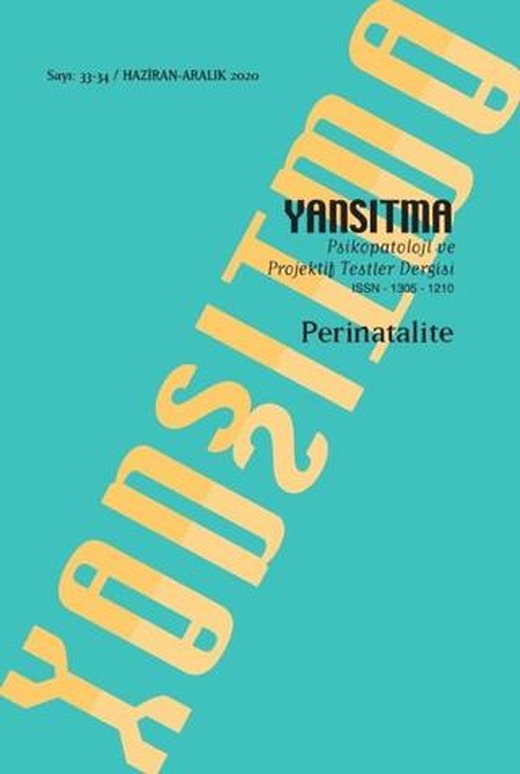 Yansıtma Dergisi Sayı 33/34 - Perinatalite | Yansıtma Dergisi Yayınları (Ciltsiz)