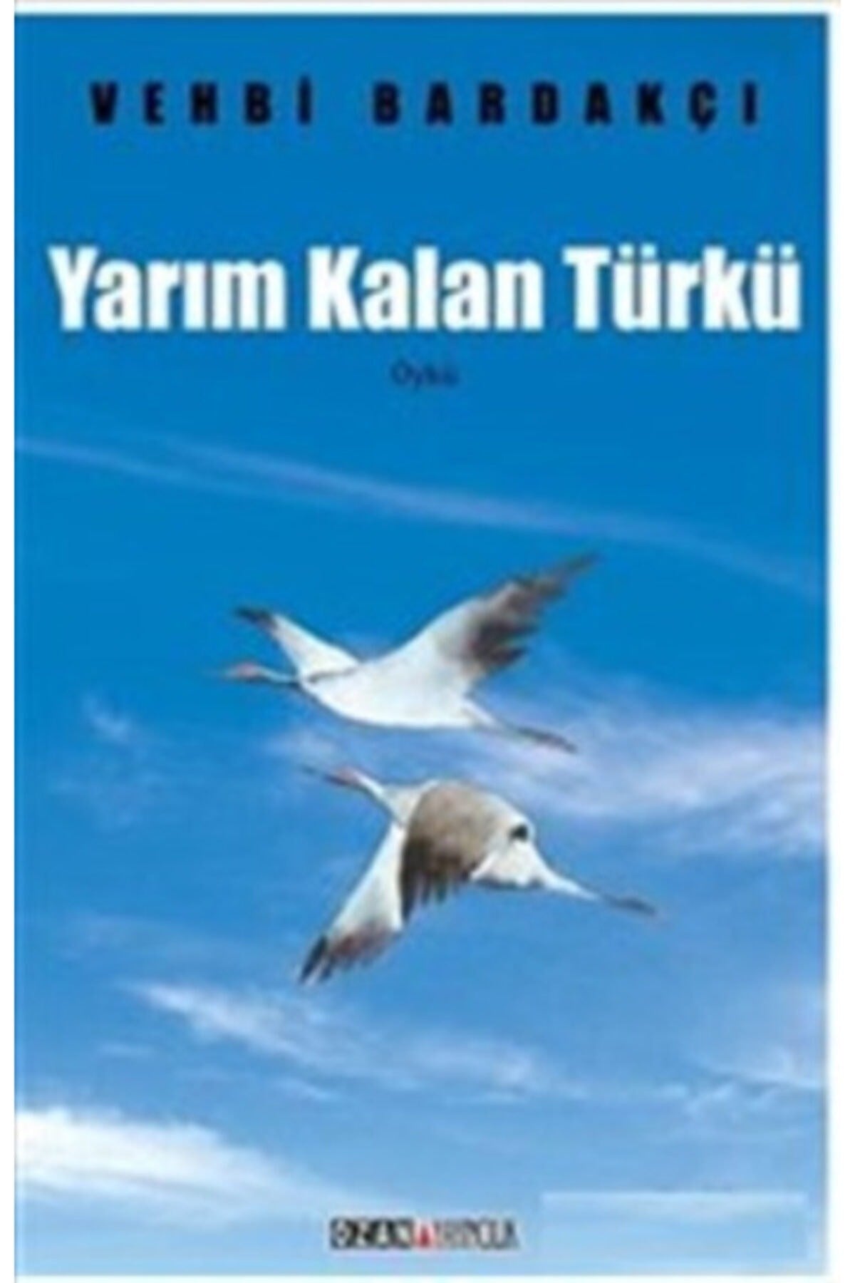 Yarım Kalan Türkü