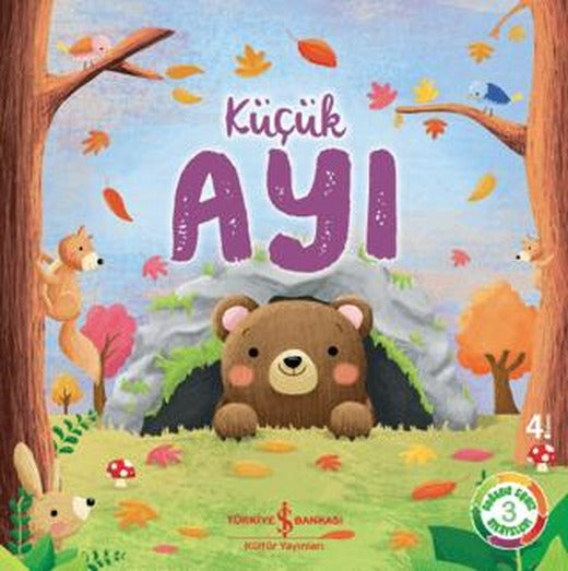 Küçük Ayı