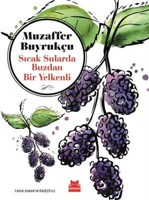 Sıcak Sularda Buzdan Bir Yelkenli | Kırmızı Kedi