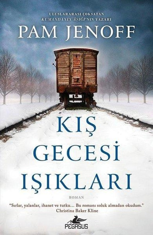 Kış Gecesi Işıkları | Pegasus (İnce Kapak)