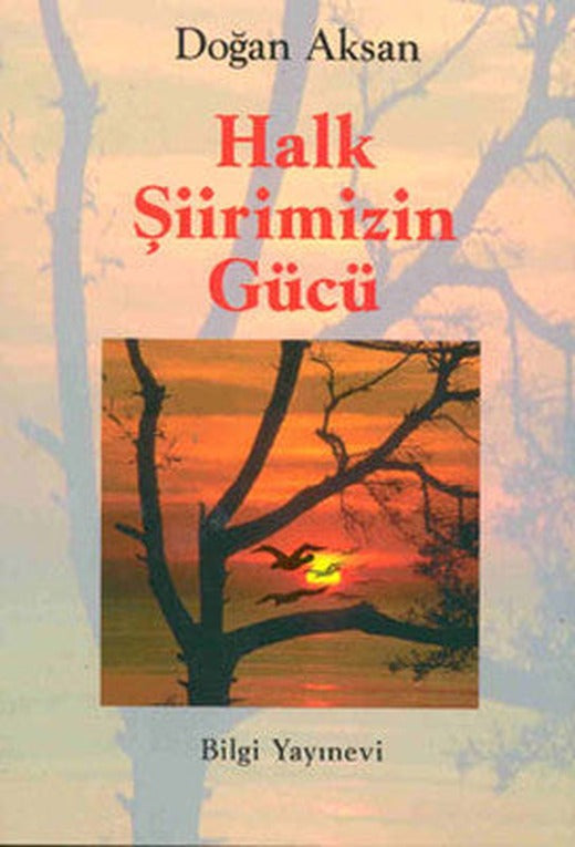 Halk Şiirimizin Gücü | Bilgi Yayınevi