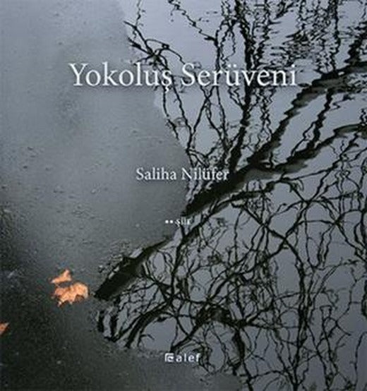 Yokoluş Serüveni | Alef Yayınevi (Ciltsiz)