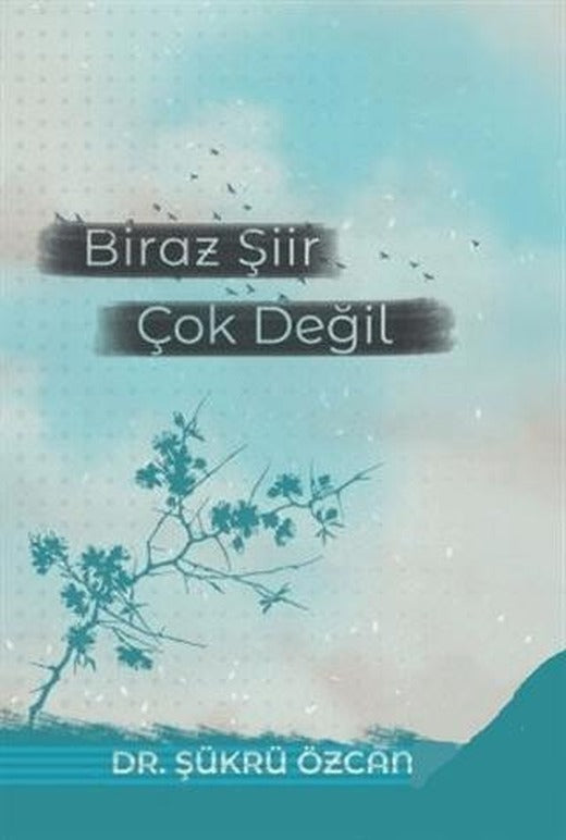 Biraz Şiir Çok Değil | Sonçağ Yayınları (Ciltsiz)