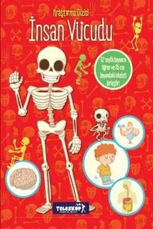 Araştırma Dizisi: İnsan Vücudu