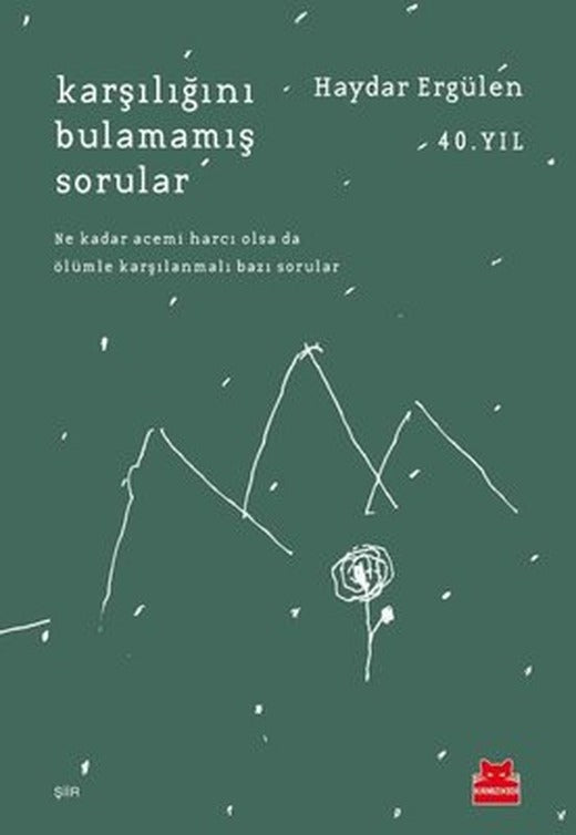Karşılığını Bulamamış Sorular | Kırmızı Kedi