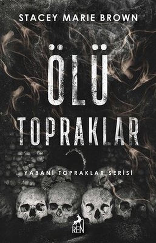 Nasıl Yapılmalı? | İnkılap Kitabevi (İnce Kapak)