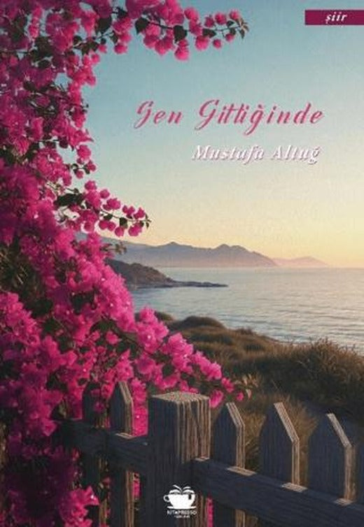 Sen Gittiğinde