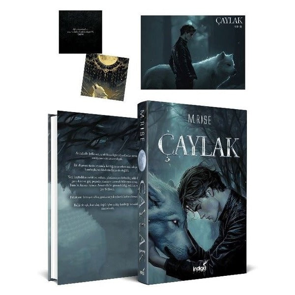 Çaylak |İndigo Kitap (Ciltli)