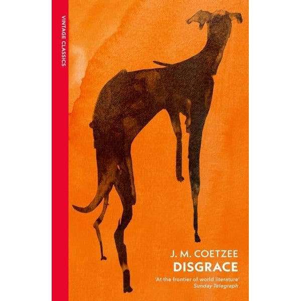 Disgrace A BBC Radio 4 Good Read | Vintage Publishing (İnce Kapak)