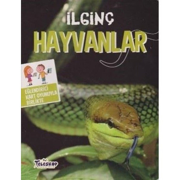 İlginç Hayvanlar
