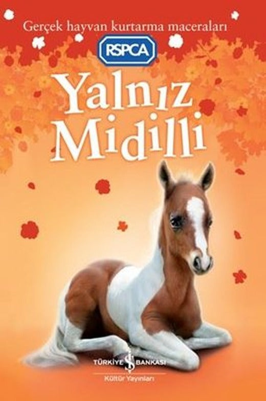 Yalnız Midilli - Gerçek Hayvan Kurtarma Maceraları | İş Bankası Kültür Yayınları (İnce Kapak)