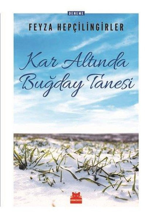 Kar Altında Buğday Tanesi | Kırmızı Kedi (İnce Kapak)