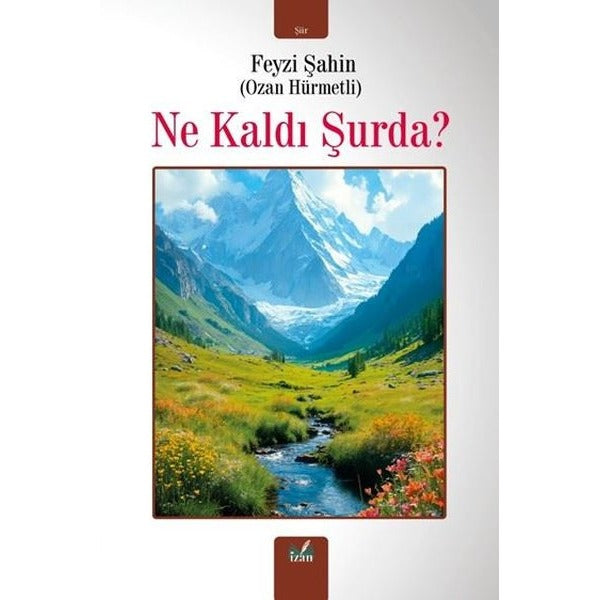 Ne Kaldı Şurda?