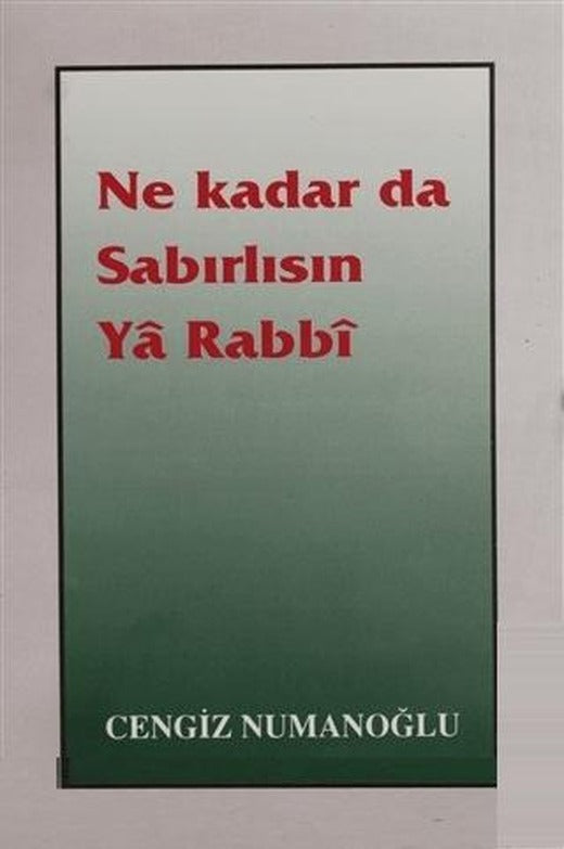 Ne Kadar da Sabırlısın Ya Rabbi | Sahhaflar Kitap Sarayı (Ciltsiz)