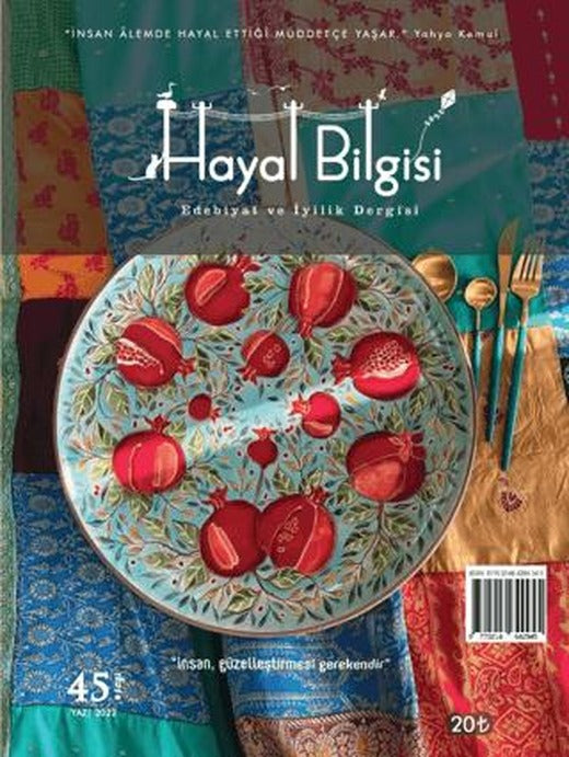 Hayal Bilgisi Dergisi Sayı: 45 Yaz 2022 | Hayal Bilgisi Dergisi (Ciltsiz)