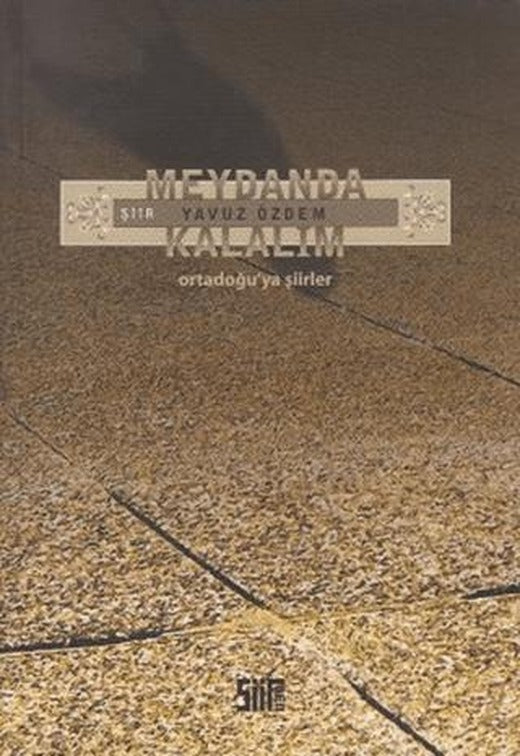 Meydanda Kalalım | Şiirden Yayıncılık (Ciltsiz)