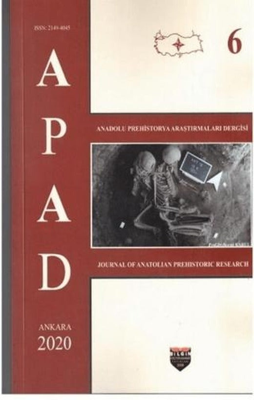 APAD 2020 Cilt 6 | Bilgin Kültür Sanat Yayınları (Ciltsiz)