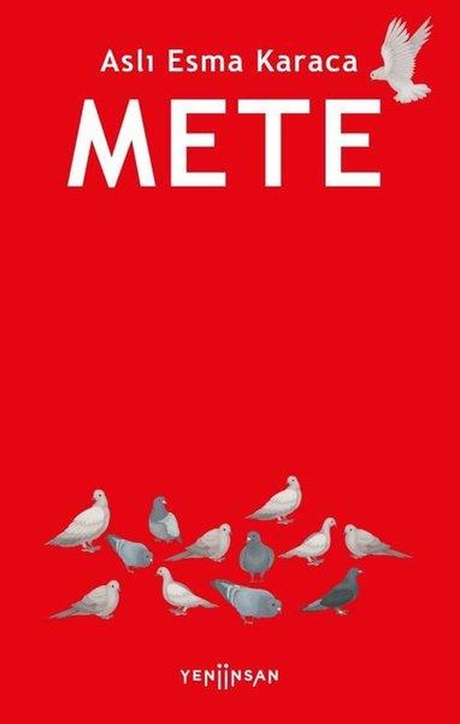 Mete | Yeni İnsan Yayınevi (İnce Kapak)