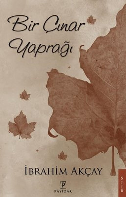 Bir Çınar Yaprağı | Payidar