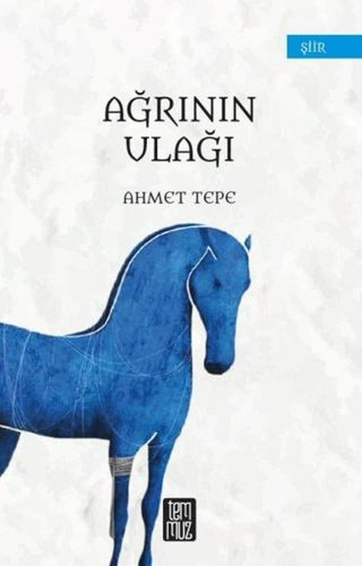 Ağrının Ulağı | Temmuz Yayınları (Ciltsiz)