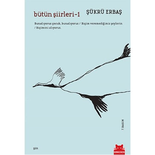 Bütün Şiirleri 1 | Kırmızı Kedi
