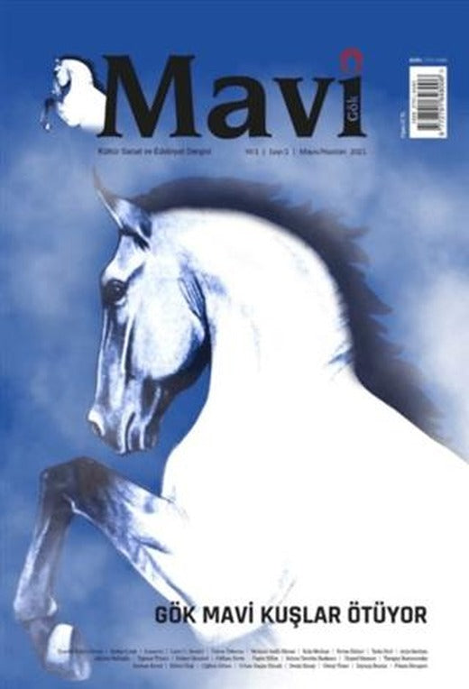 Mavi Gök Kültür Sanat Edebiyat Dergisi Sayı: 1 Mayıs - Haziran 2021 | Mavi Gök Dergisi Yayınları (Ciltsiz)