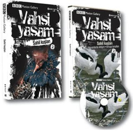 Vahşi Yaşam 2 - Sahil Kuşları | Boyut Yayın Grubu (Ciltsiz)
