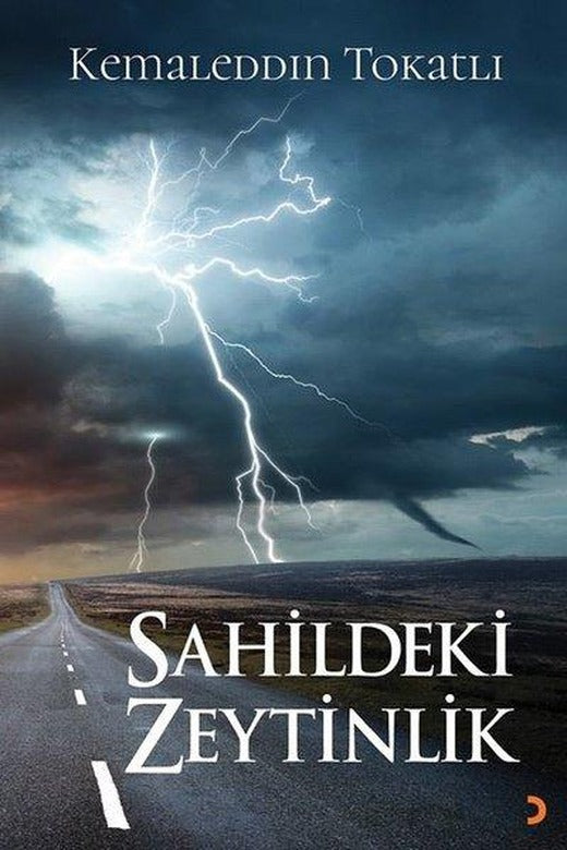 Sahildeki Zeytinlik | Cinius (İnce Kapak)