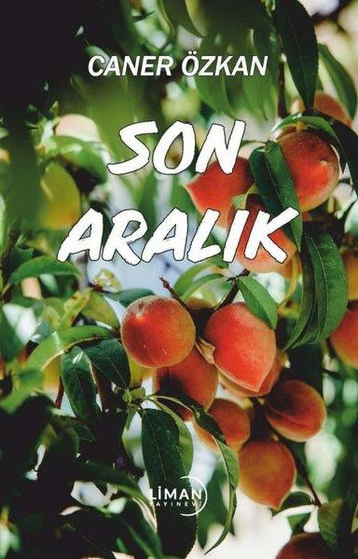 Son Aralık | Liman Yayınevi (İnce Kapak)