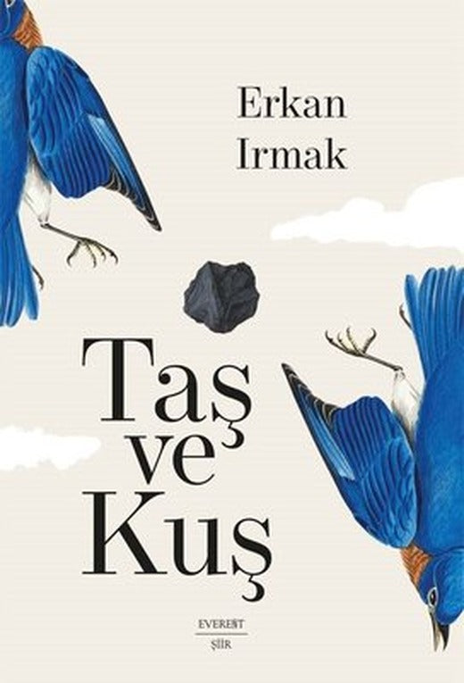 Taş ve Kuş - Umman Üçlemesi 1 | Everest Yayınları (İnce Kapak)