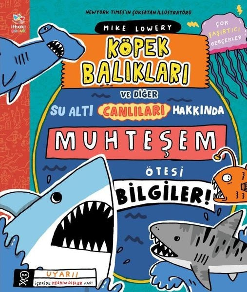 Köpek Balıkları ve Diğer Su Altı Canlıları Hakkında Muhteşem Ötesi Bilgiler! | İthaki Çocuk