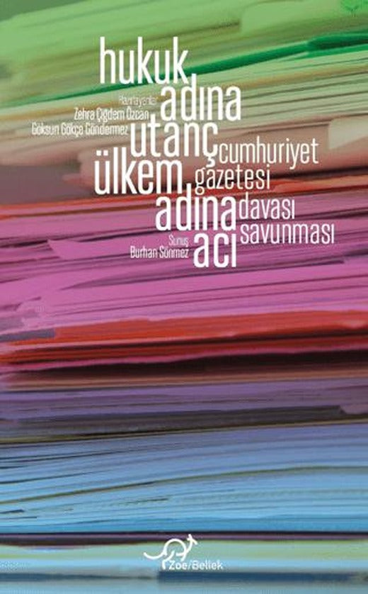 Hukuk Adına Utanç, Ülkem Adına Acı