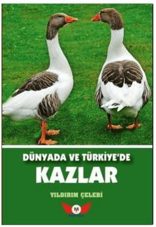 Dünyada ve Türkiye'de Kazlar