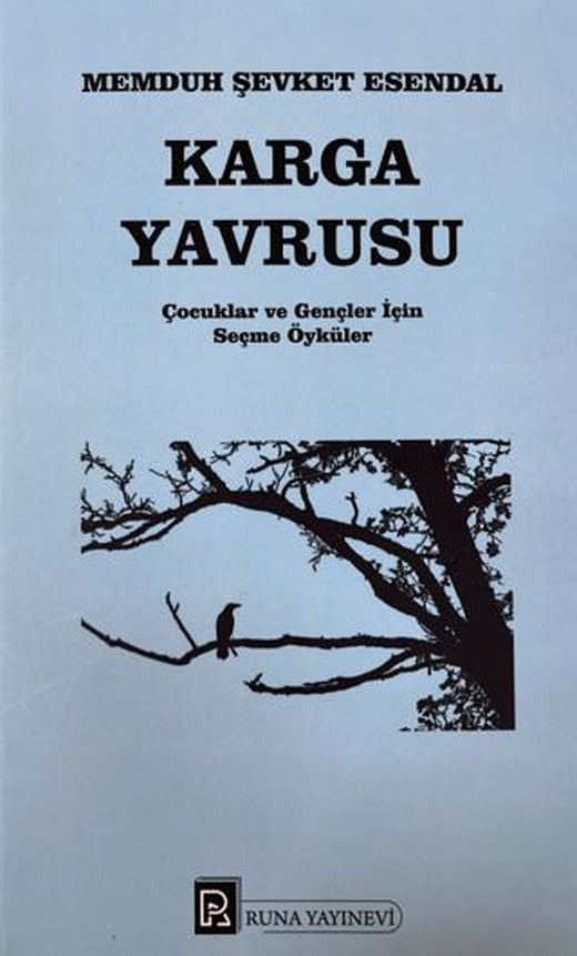 Karga Yavrusu