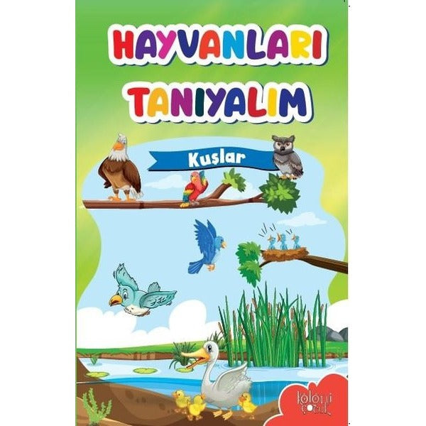 Hayvanları Tanıyalım - Kuşlar | Koloni Çocuk (Ciltsiz)