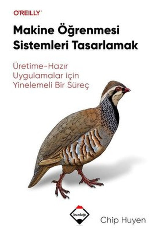 Makine Öğrenmesi Sistemleri Tasarlamak: Üretime - Hazır Uygulamalar İçin Yinelemeli Bir Süreç | Buzdağı Yayınevi-Eğitim