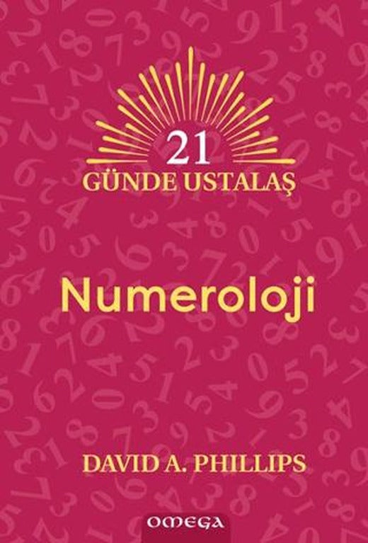 21 Günde Ustalaş Numeroloji