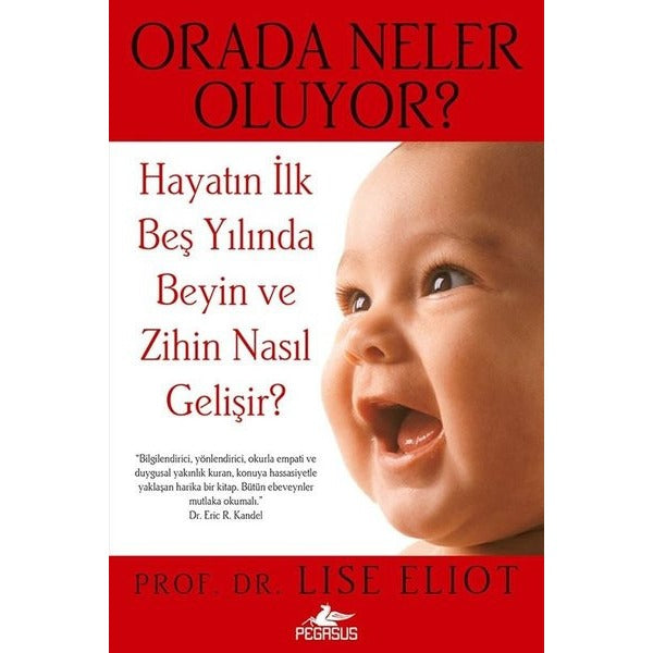 Orada Neler Oluyor? Hayatın İlk Beş Yılında Beyin ve Zihin Nasıl Gelişir? | Pegasus (İnce Kapak)