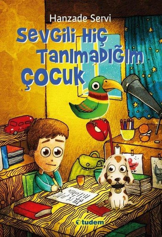 Sevgili Hiç Tanımadığım Çocuk | Tudem Yayınları - Çocuk Kitapları Dizisi (e-Kitap)
