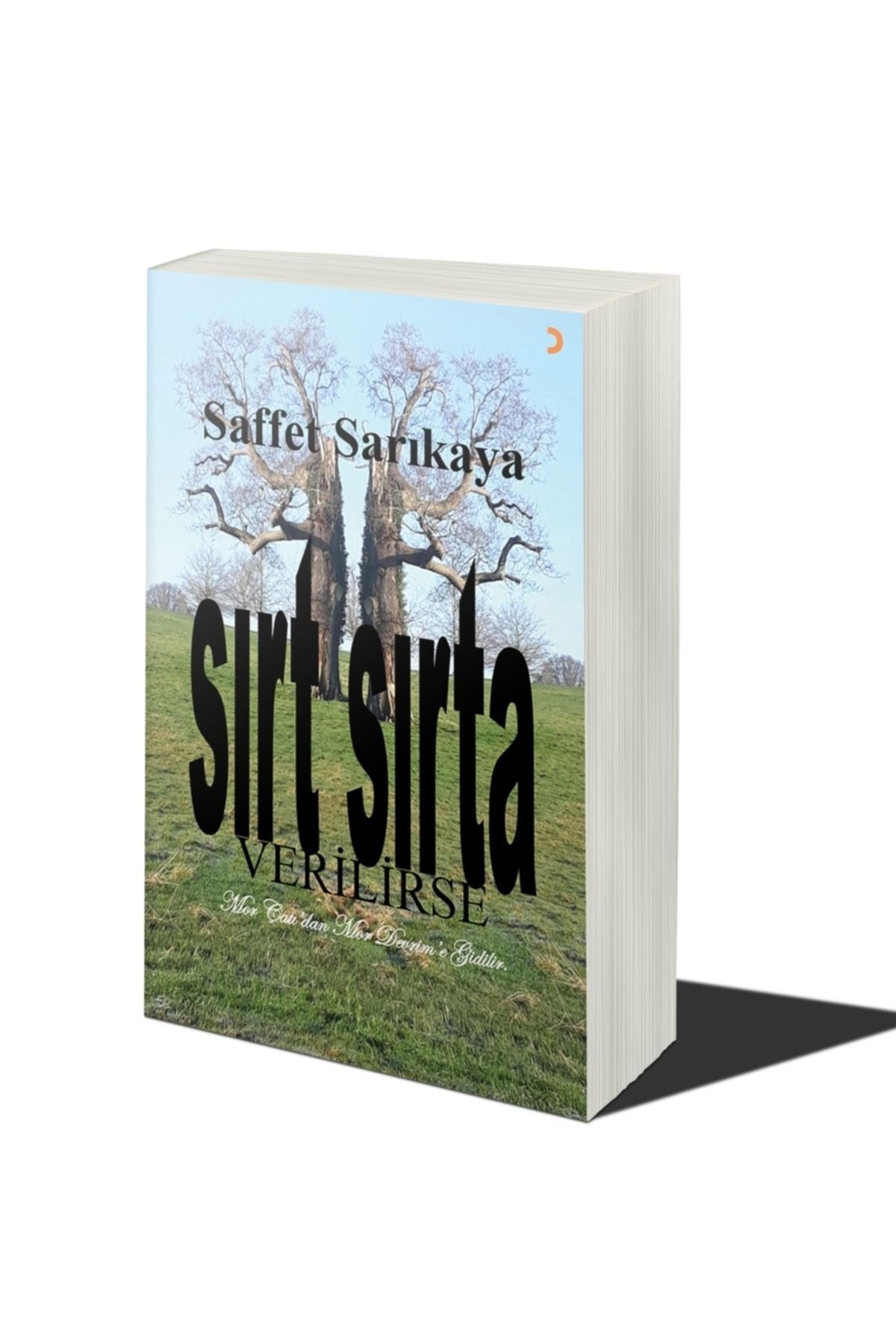 Sırt Sırta Verilirse
