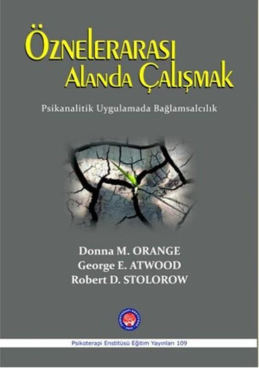 Öznelerarası Alanda Çalışmak | Psikoterapi Enstitüsü (İnce Kapak)