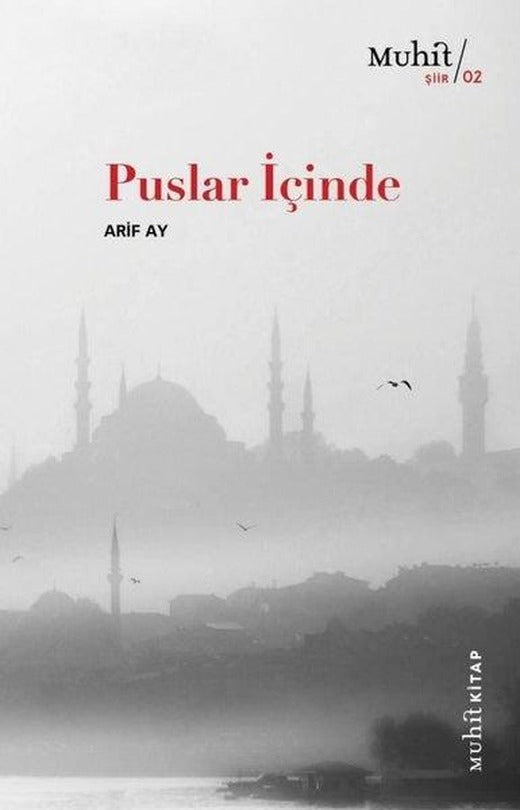 Puslar İçinde | Muhit Kitap (İnce Kapak)
