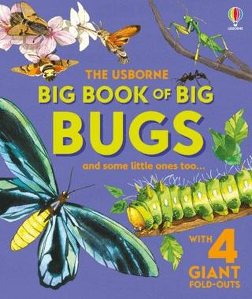 Big Book of Big Bugs | Usborne (Ciltli)